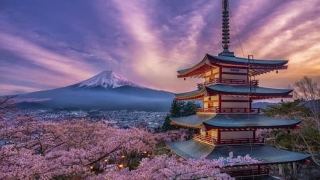 Descubre Kyoto: Cultura, Costumbres, Gastronomía y Lo Que Debes Saber al Visitar