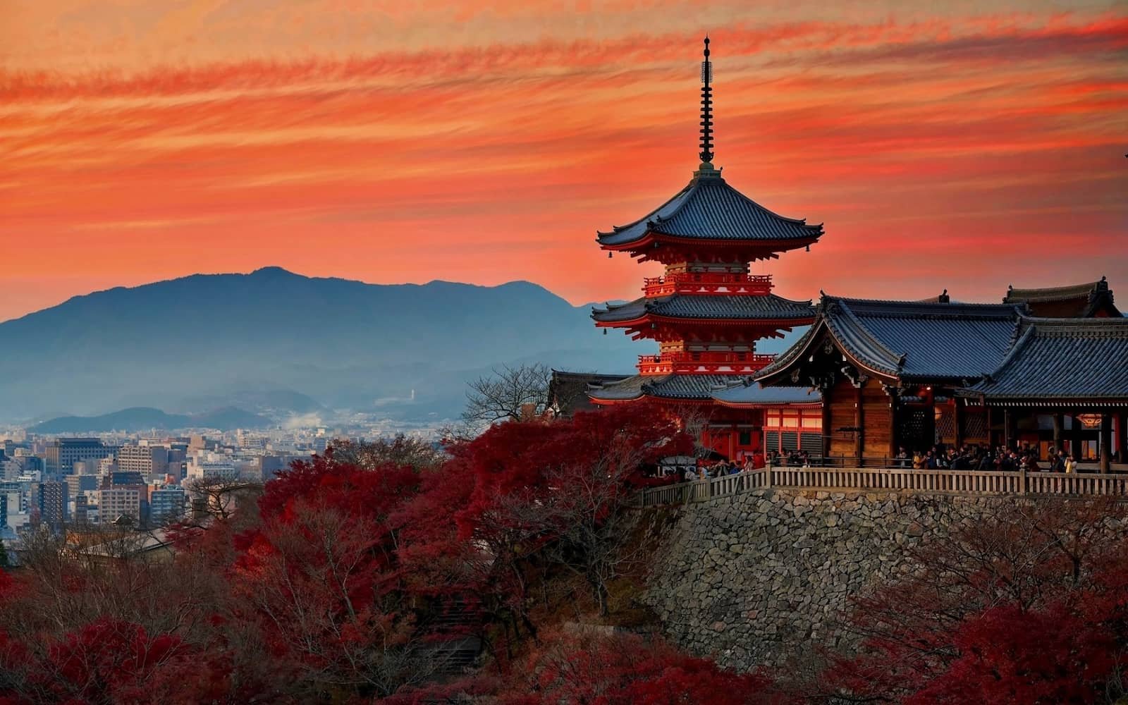 Descubre Kyoto: Cultura, Costumbres, Gastronomía y Lo Que Debes Saber al Visitar